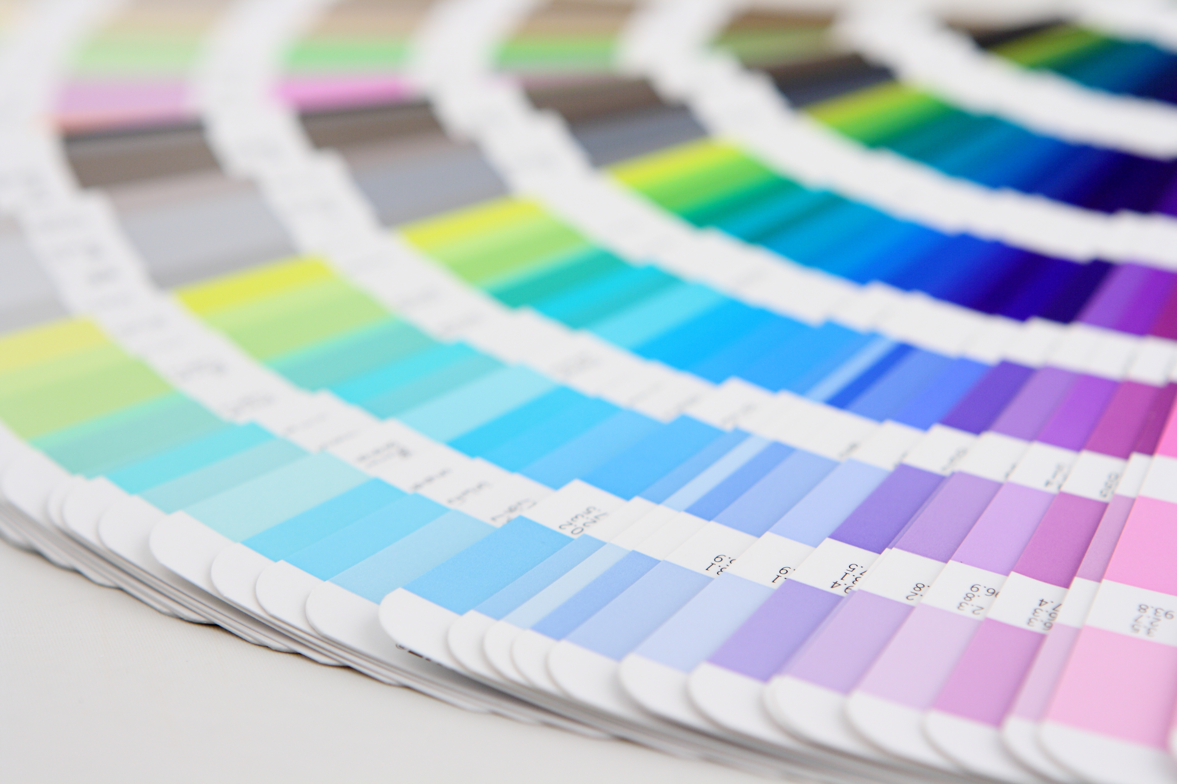 Renaissance Interiors reviews eco-friendly paint options